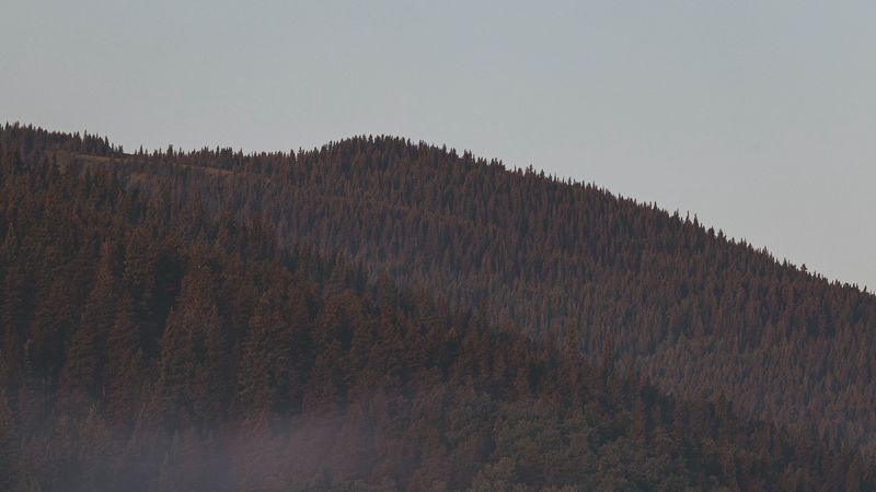 林间雾绕山巅 4K高清壁纸合集