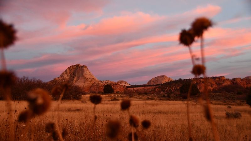 山野田野4K壁纸合集