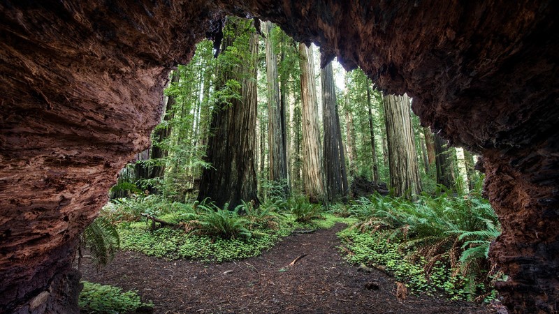 美国加州绝美自然壁纸合集