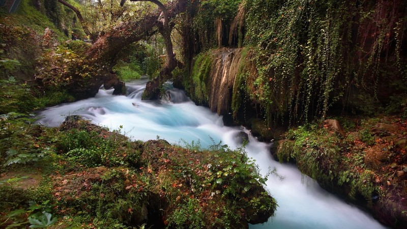 绝美长曝光森林河岸壁纸合集
