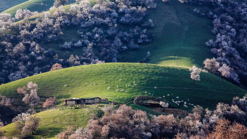 国内春日山野风光壁纸合集