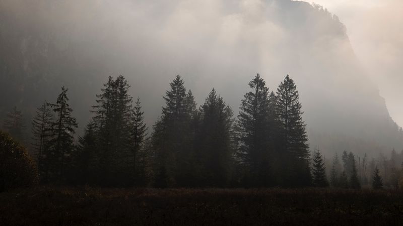 绝美暗黑山野4K壁纸