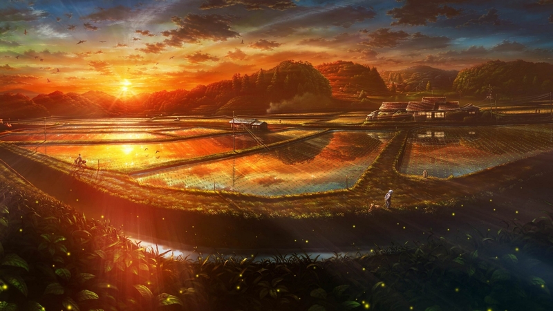 夏日橙调乡野农场日落美景