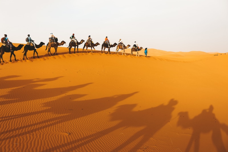 阿联酋沙漠落日骆驼 caravan 绝美壁纸