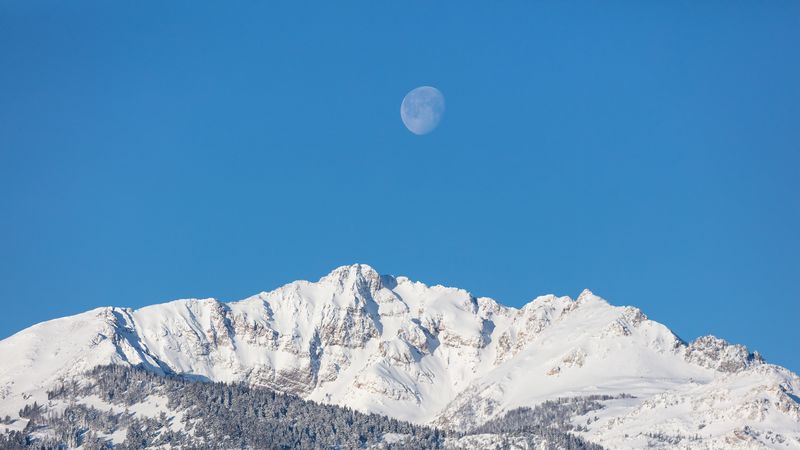 绝美白月光雪山森林壁纸 4K高清上线