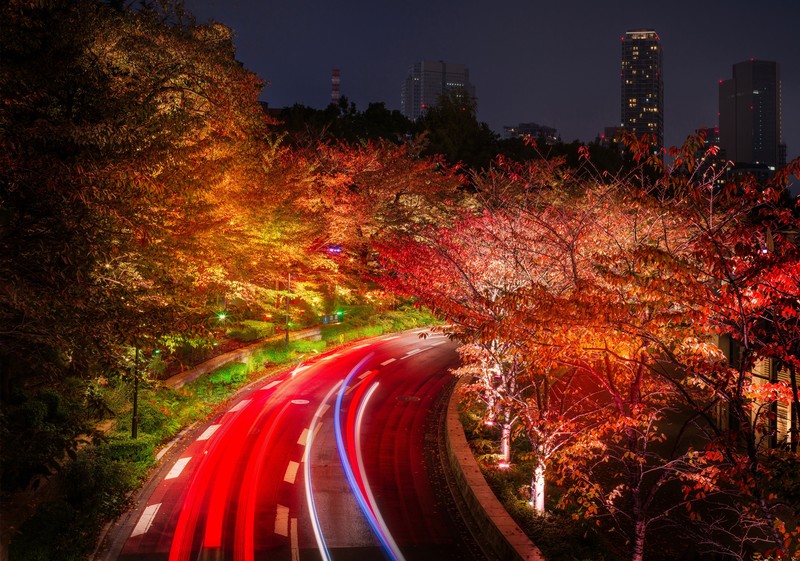东京秋日夜景道路壁纸