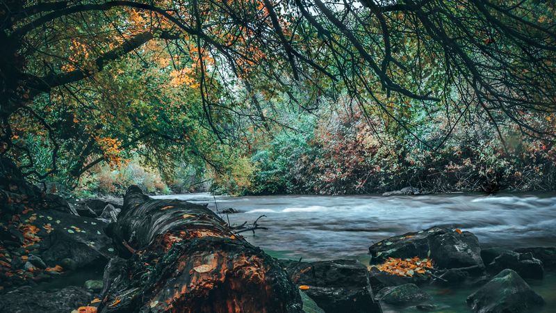 河边岸景4K高清壁纸合集