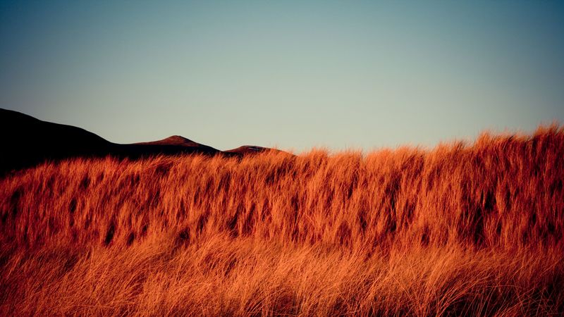 4K超清壁纸！干枯草原山丘的绝美自然风光
