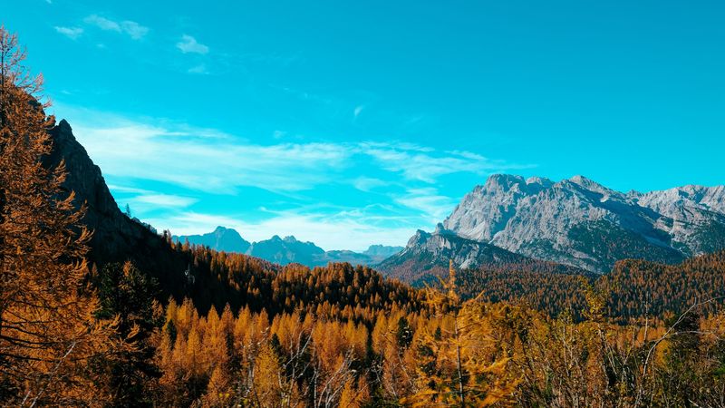 秋日山林绝景4K壁纸合集