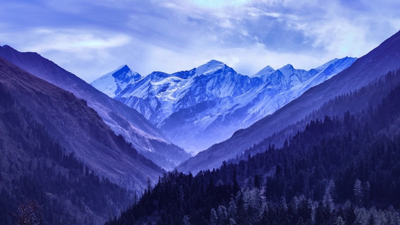 绝美雪山森林壁纸合集