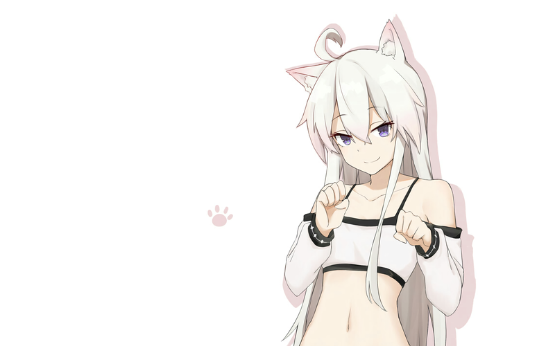 银发猫耳少女壁纸！《从零开始的魔法书》女主零来啦