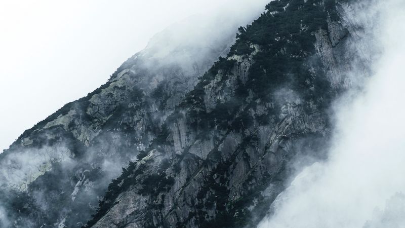 4K超清壁纸分享：山巅云雾林间 slopes 绝美自然风光