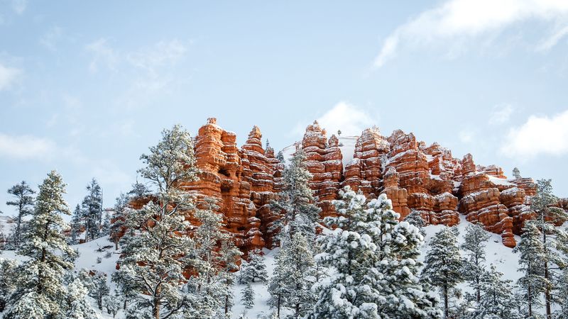 绝美冬日雪山林4K壁纸