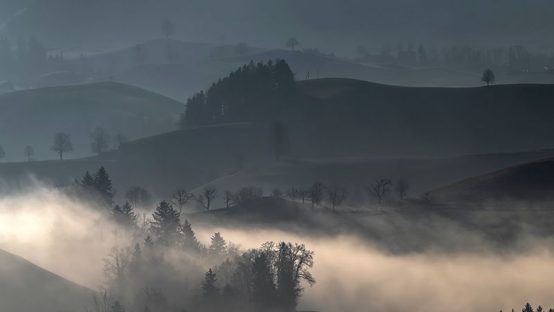 山间雾绕林景 4K超清壁纸