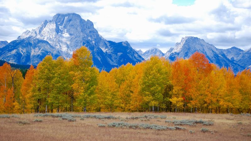 秋日山林4K高清壁纸