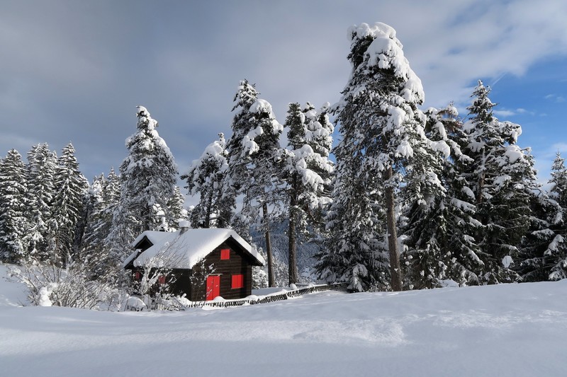 冬日林间雪屋壁纸合集