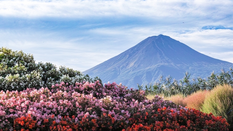 绝美的日本春日山景壁纸合集