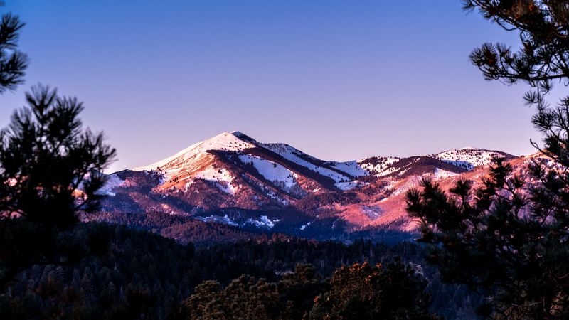 绝美山林针叶林4K高清壁纸