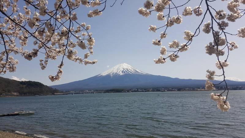 富士山春湖自然风光高清壁纸