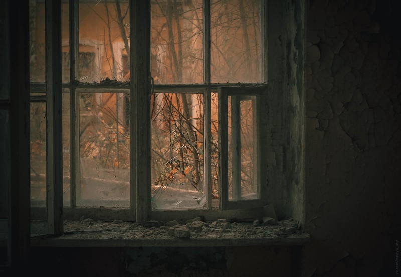 废弃老屋的秋日落叶窗景