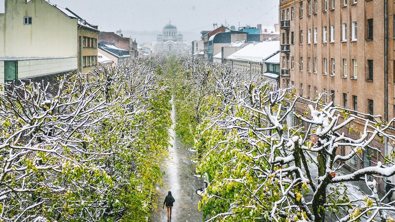 立陶宛考纳斯冬日雪城树景 绝美高清壁纸