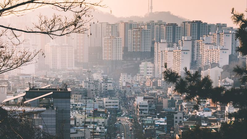 城市雾景建筑枝条航拍壁纸