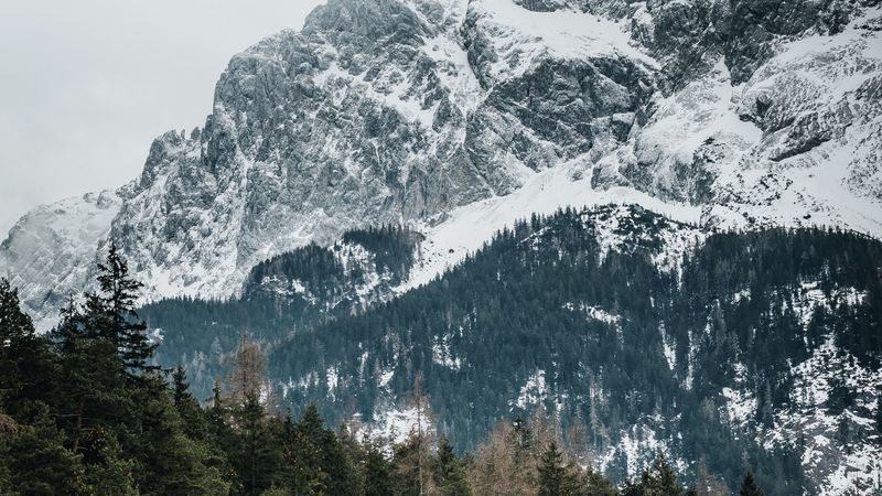 德国雪山森林4K壁纸合集