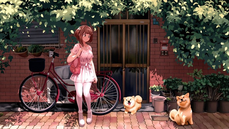 #我的英雄学院丽日御茶子 撸狗的萌系少女壁纸
