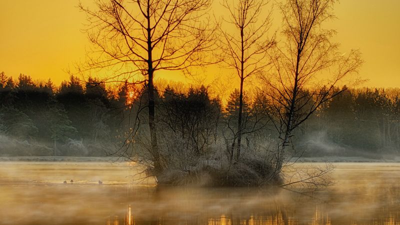 黄昏湖畔雾林绝美4K壁纸