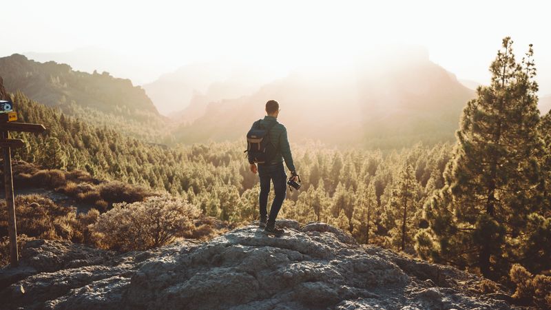 追山寻林的摄影师 4K高清壁纸