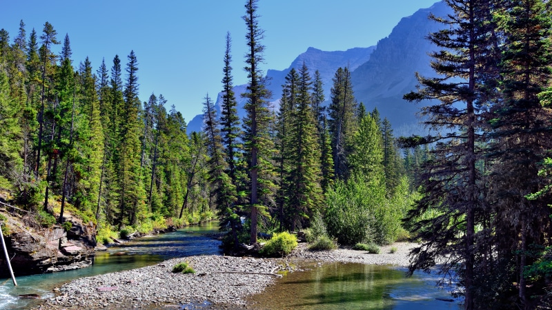 绝美8K自然壁纸！山林流水绿意拉满