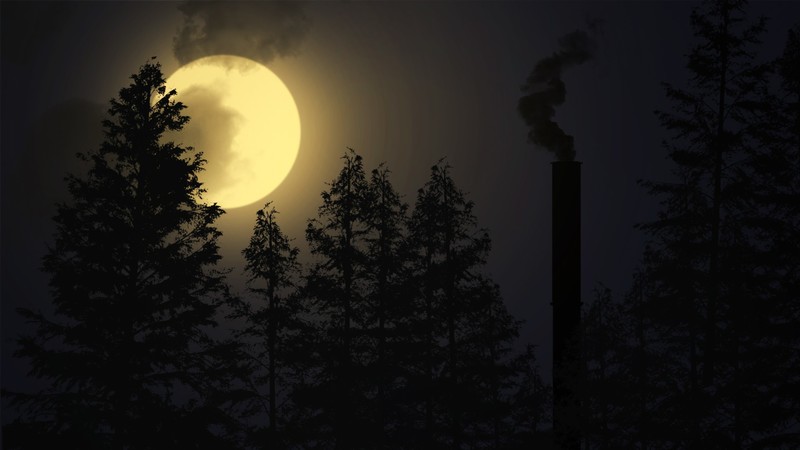 绝绝子！这组月夜氛围感壁纸直接戳中审美点