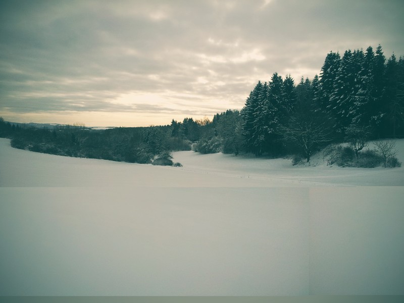 绝美雪景松林壁纸合集