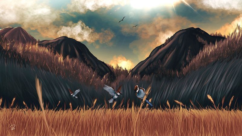 4K超清壁纸｜山田间雀鸟与禾穗之美