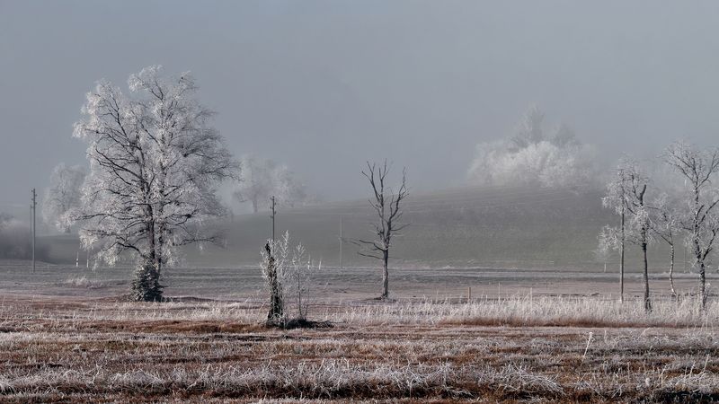 冬日霜林雪景壁纸