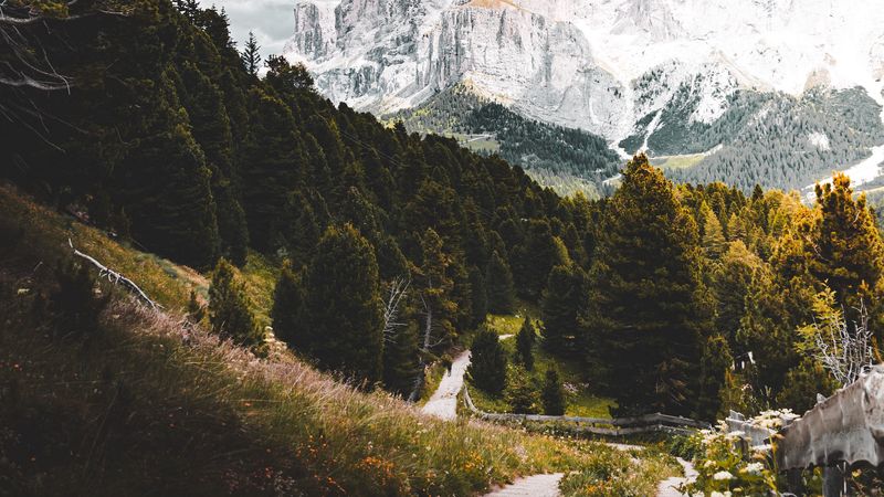绝美山野林间步道壁纸