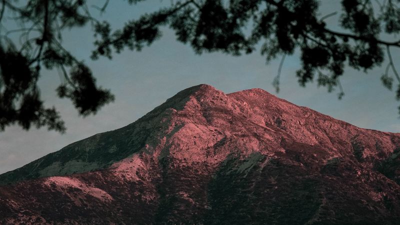 暮色荒山枝桠 暗黑氛围感4K壁纸
