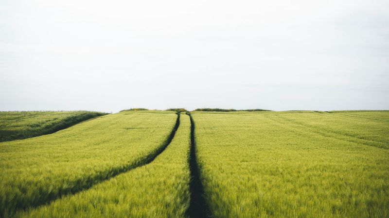 旷野里的痕迹 绝美4K风景壁纸合集