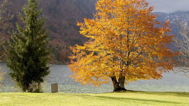 4K超清壁纸｜山林湖泊草原氛围感拉满