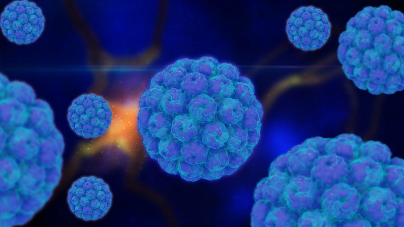 一组冷门科学生物高清壁纸合集