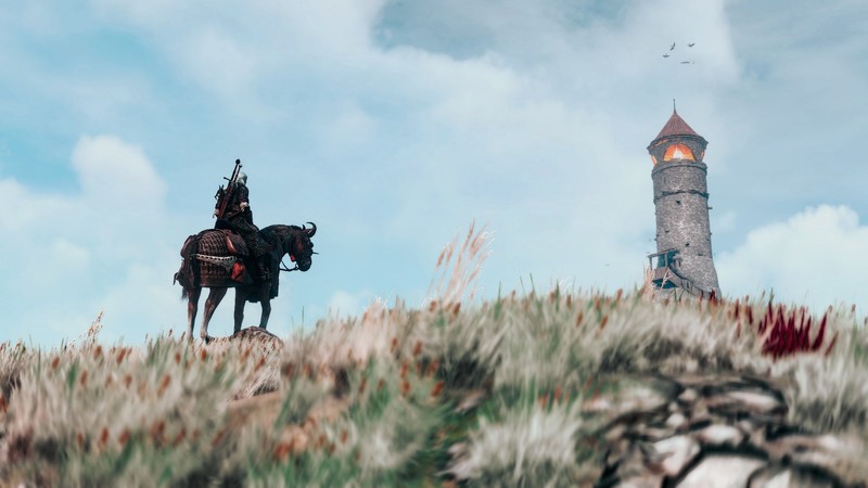 巫师3：狂猎 史凯利格海岛壁纸合集