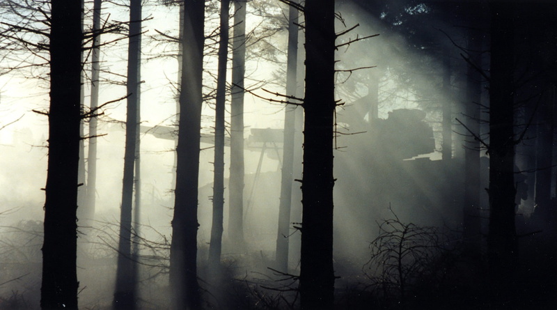 军用坦克开进静谧森林 绝美景墙带你看自然与钢铁的碰撞