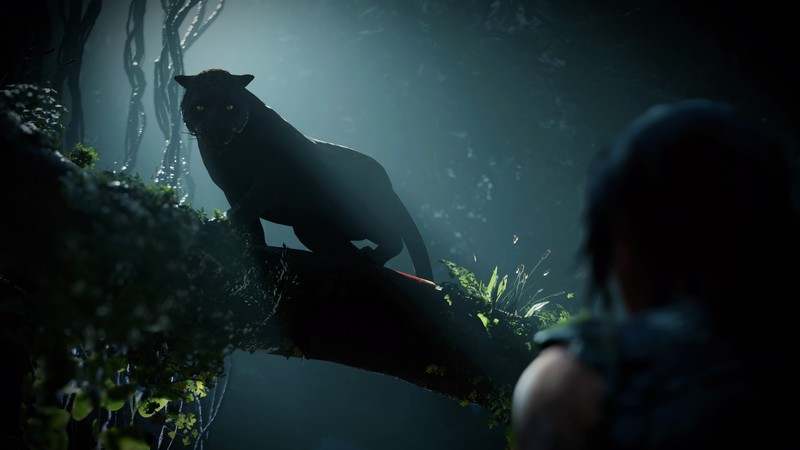 古墓丽影丛林劳拉壁纸合集