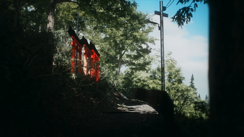 游戏截图合集 伏见稻荷大社鸟居 地平线：零之曙光 荒野大镖客：救赎2 黑色沙漠