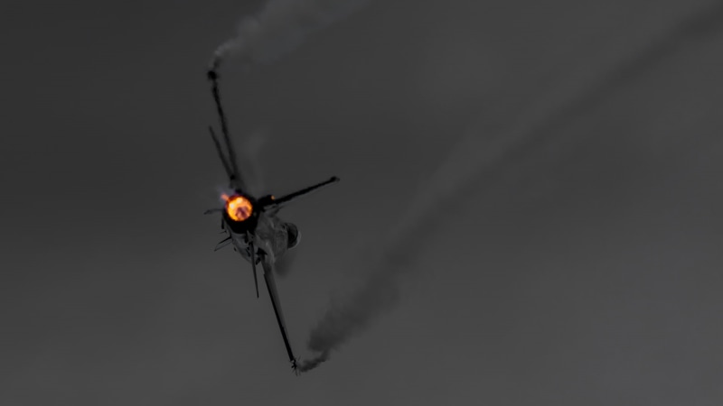 这些军用昆虫？高清壁纸合集