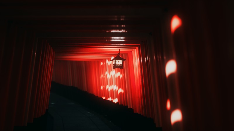 游戏截图合集｜伏见稻荷大社红鸟居+荒野大镖客+黑色沙漠游戏画面