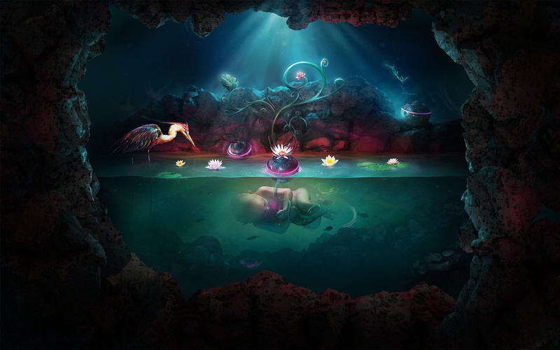 水下野生萌趣生物合集壁纸