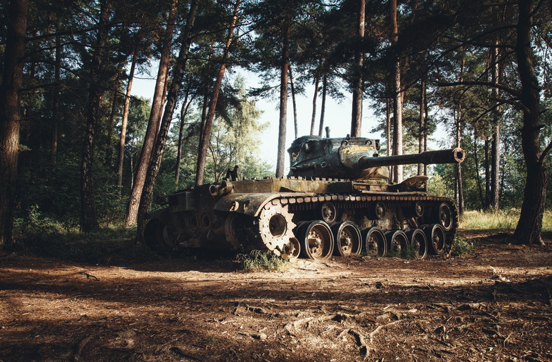 废弃坦克闯入林间荒地的4K绝美风景壁纸