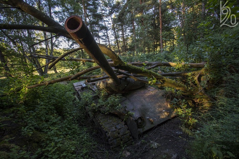 长满锈苔的军用坦克残骸壁纸
