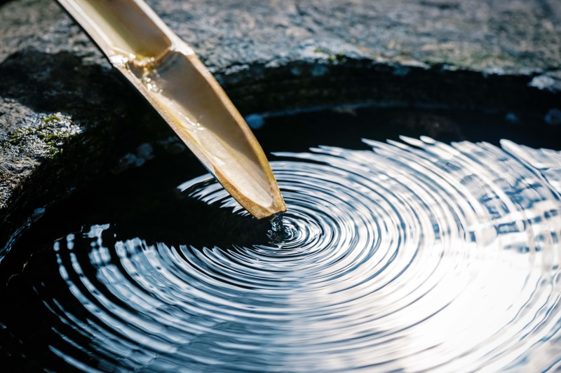 绝美微距水景竹影壁纸